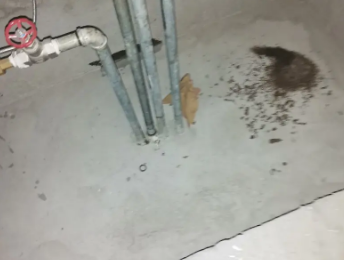 喀什卫生间测漏水价格明细